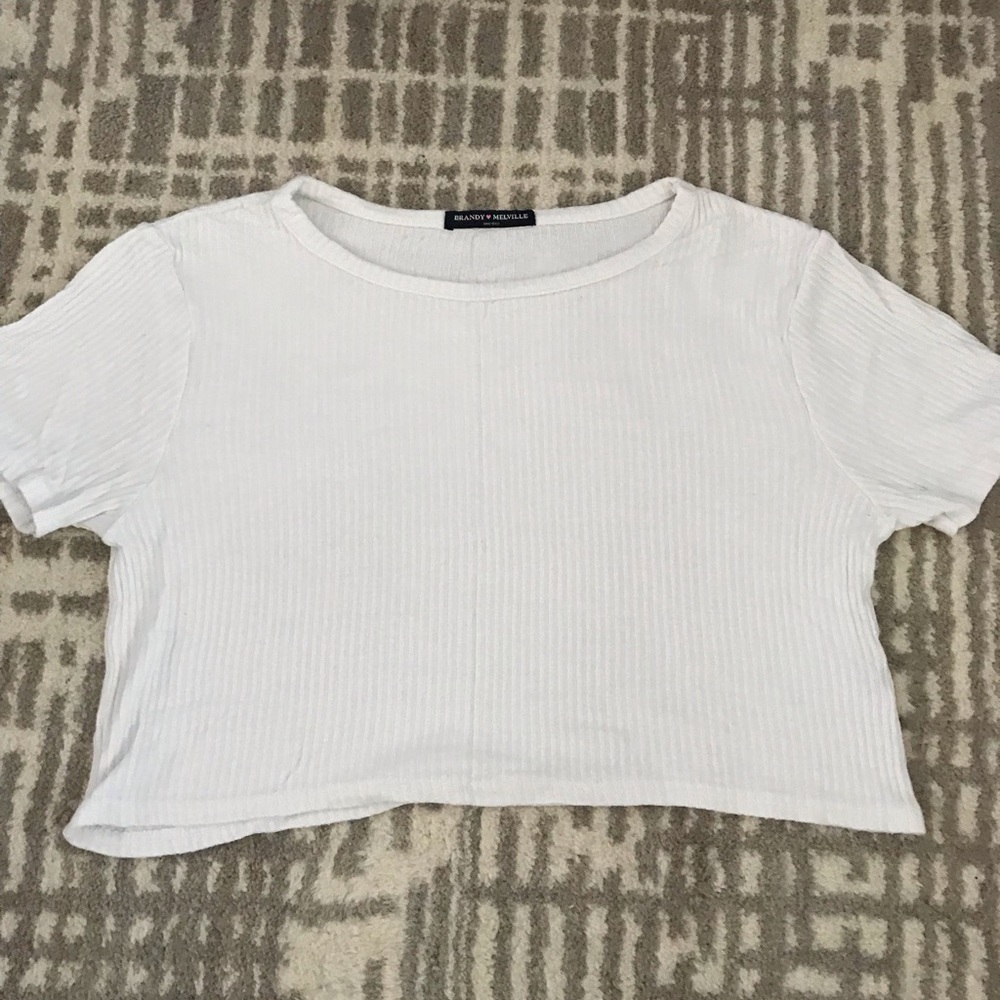 Brandy Melville Ribbed Short Sleeve Crop Top